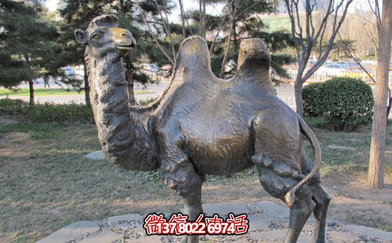 创意大型玻璃钢骆驼博鱼平台,在草地上摆放,一眼回头 创意大型玻璃钢骆驼博鱼平台,在草地上摆放,一眼回头