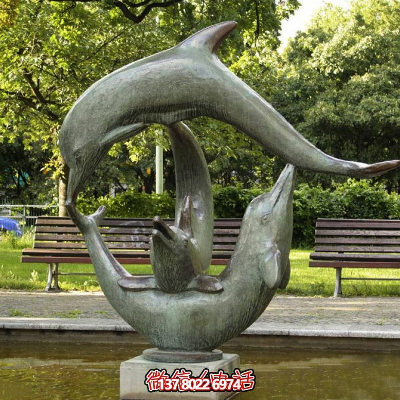 海豚博鱼平台——给公园带来欢乐的玩耍