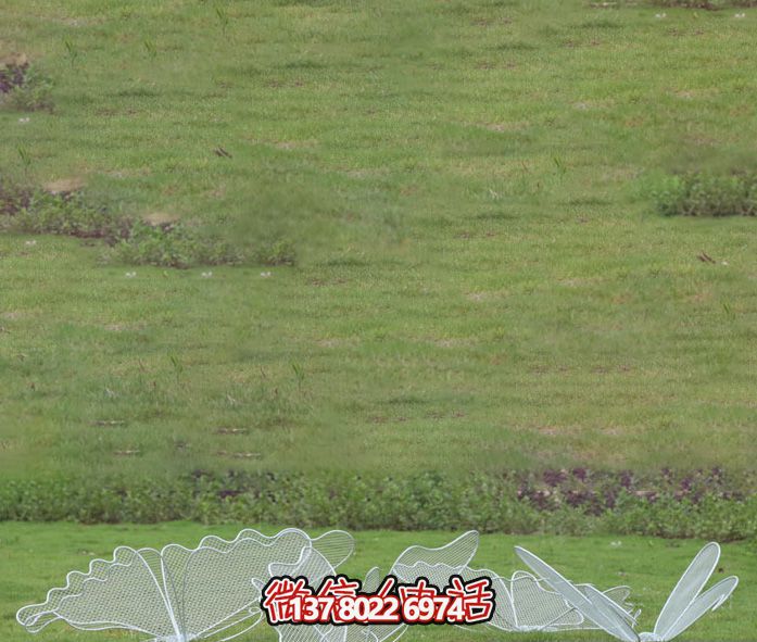 不锈钢网格池塘蝴蝶博鱼平台