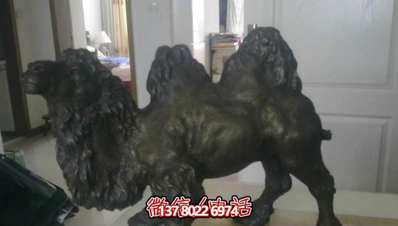 广场上摆放的跪着的玻璃钢喷漆骆驼博鱼平台
