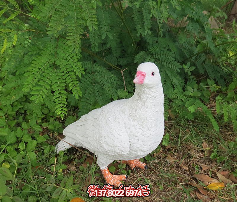 公园户外树脂摆件鸽子博鱼平台