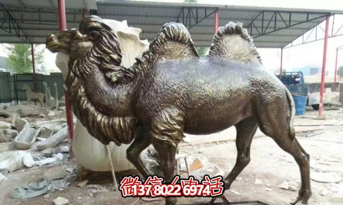 公园摆放的的黑色的不锈钢仿真骆驼博鱼平台